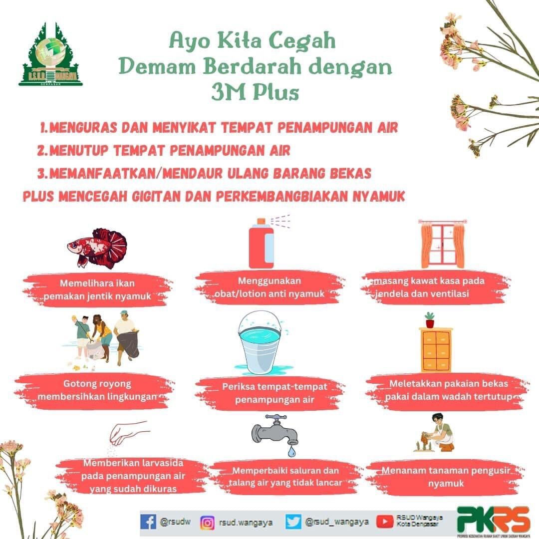 Ayo Cegah Demam Berdarah Dengan 3M Plus
